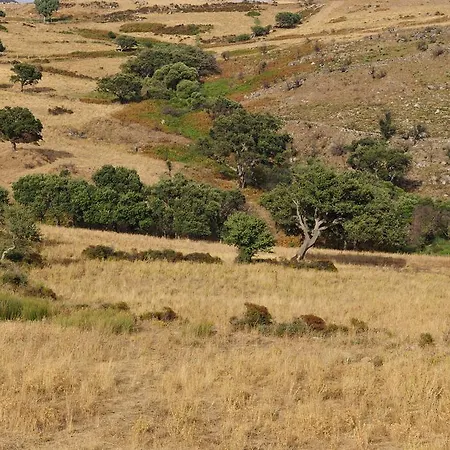 Agriturismo Rocca Su Moru Séjour à la ferme Arbus