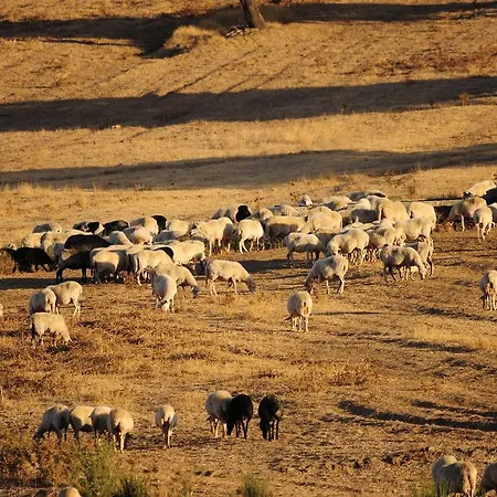 Agriturismo Rocca Su Moru