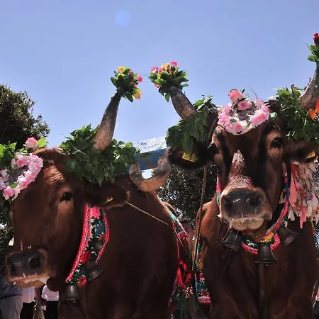 Agriturismo Rocca Su Moru Séjour à la ferme Arbus