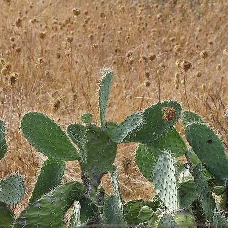 Agriturismo Rocca Su Moru Séjour à la ferme *