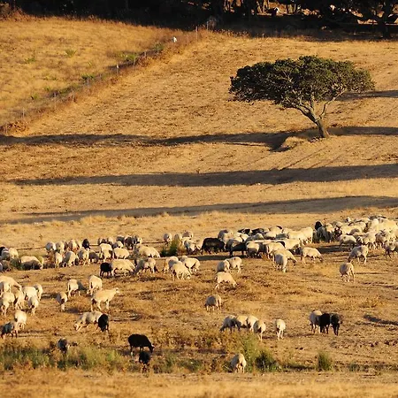 Séjour à la ferme Agriturismo Rocca Su Moru *