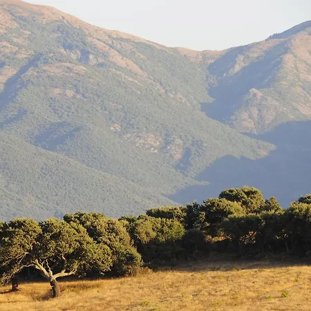 Agriturismo Rocca Su Moru * Arbus