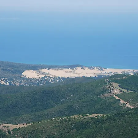 Agriturismo Rocca Su Moru Séjour à la ferme *