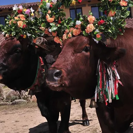 Agriturismo Rocca Su Moru