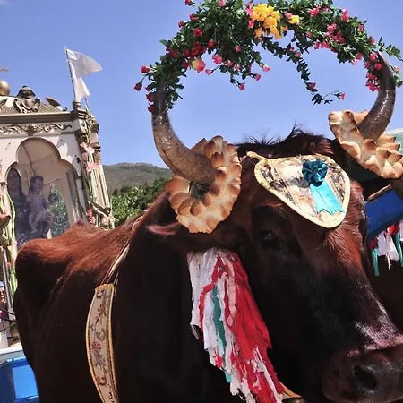 Agriturismo Rocca Su Moru Séjour à la ferme *