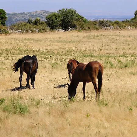 Séjour à la ferme Agriturismo Rocca Su Moru Arbus