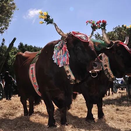 Agriturismo Rocca Su Moru