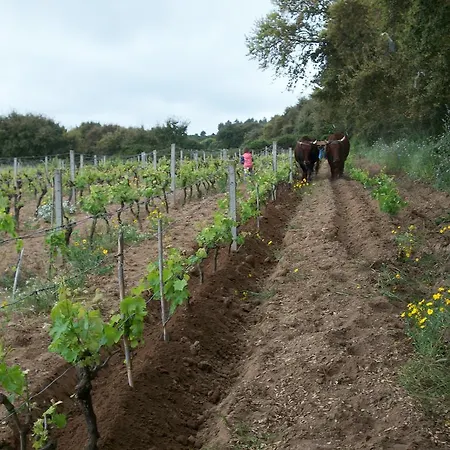 Agriturismo Rocca Su Moru * Arbus