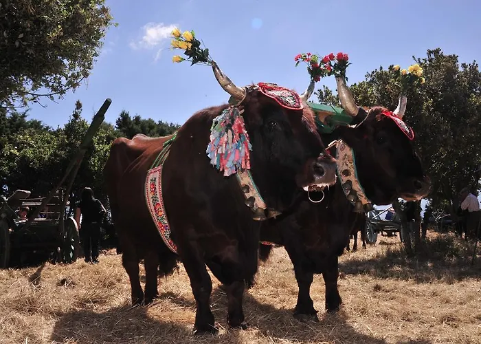 Agriturismo Rocca Su Moru
