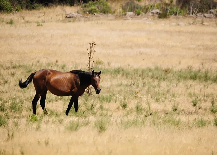 Agriturismo Rocca Su Moru Arbus