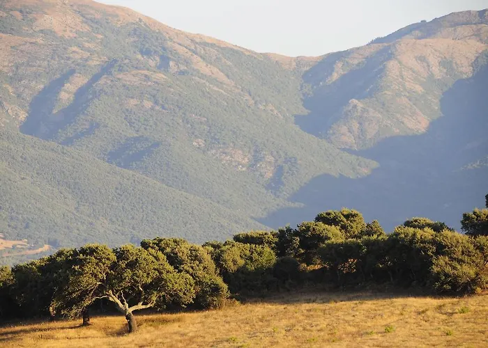 Agriturismo Rocca Su Moru * Arbus