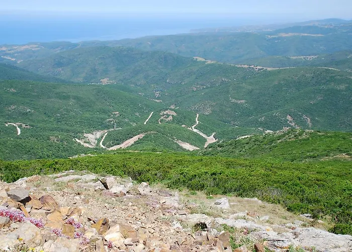 Agriturismo Rocca Su Moru Farm stay Arbus