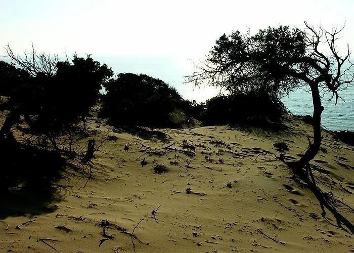 Agriturismo Rocca Su Moru Farm stay