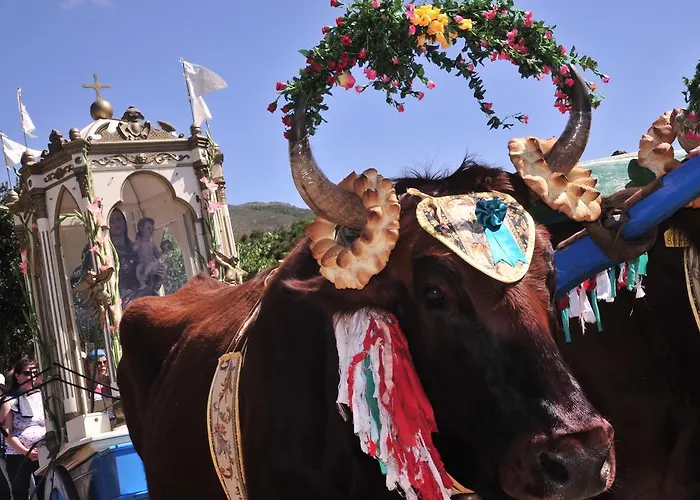 Agriturismo Rocca Su Moru Farm stay *